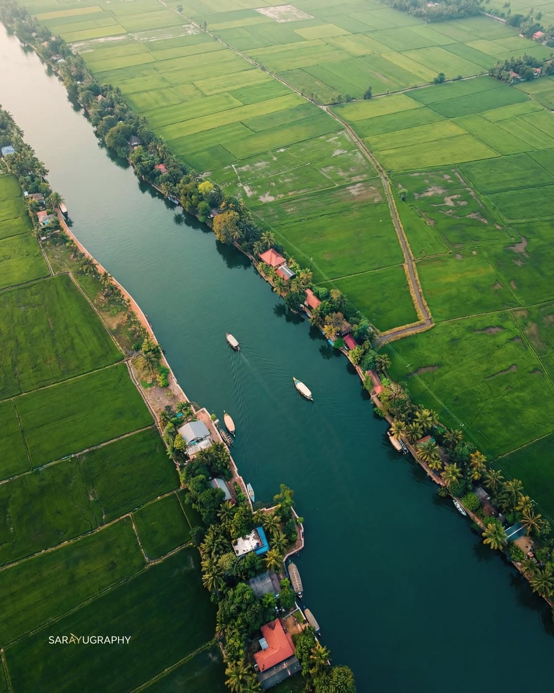 Alappuzha Backwaters 2