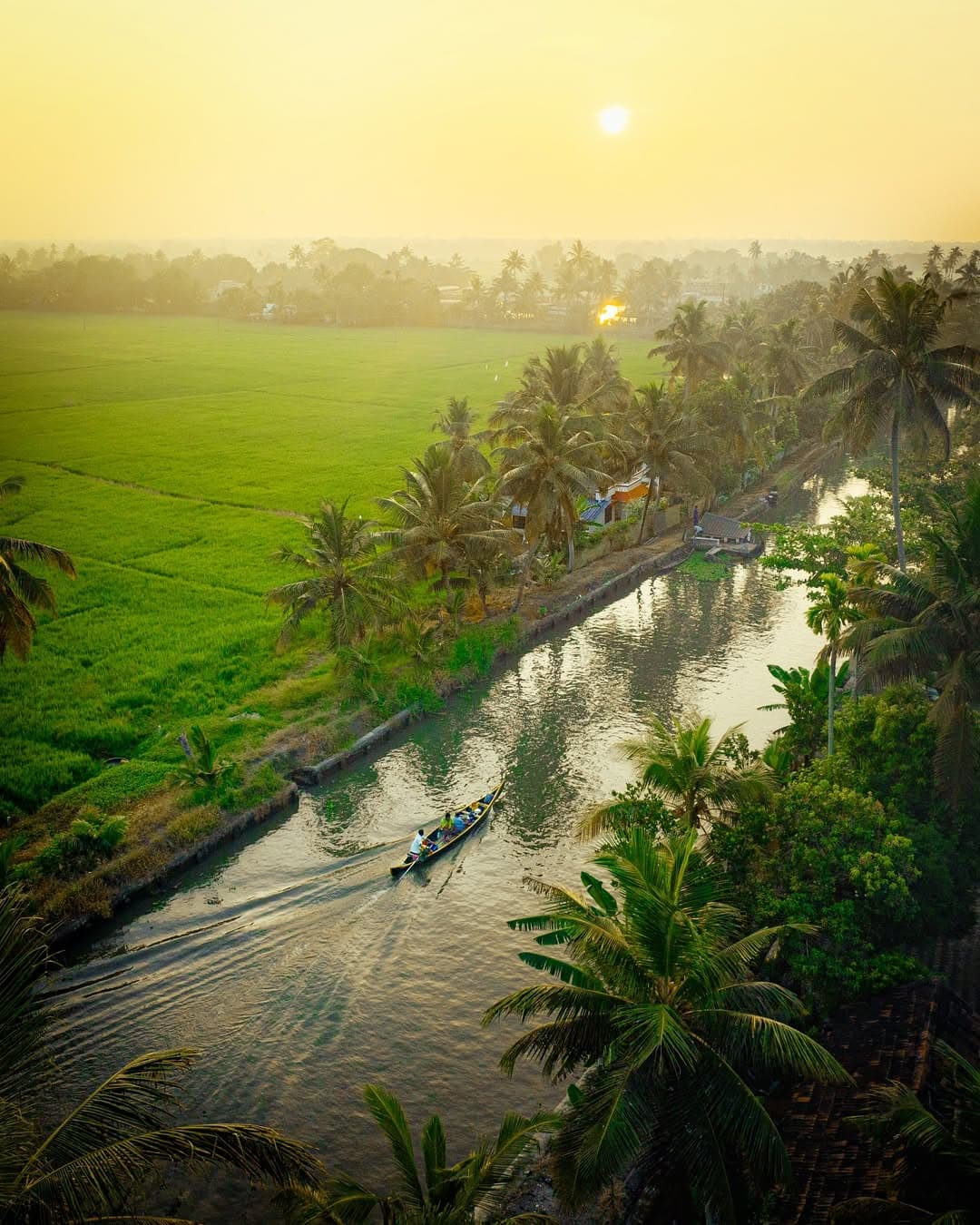 Aerial view of Alleppey backwaters — Kerala canal network surrounded by coconut palms